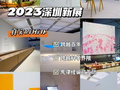 -深圳市当代艺术与城市规划馆