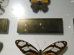 -上海昆虫博物馆