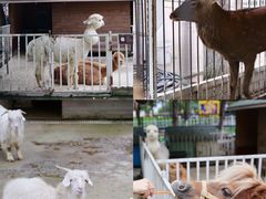 -蓝地时尚庄园(北京清河营地铁站店)