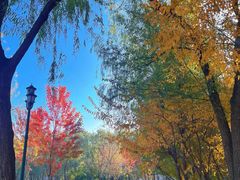 -哈尔滨文化公园