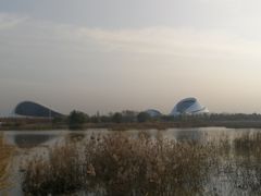 -哈尔滨大剧院