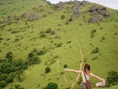 -大姆山草场