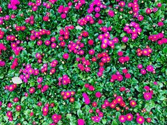 -杭州城北体育公园