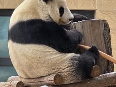 -石家庄市动物园