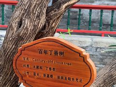 -上海老饭店(北京分店)