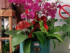 -FEI FEI FLOWER鲜花店·气球派对·宝宝宴布置(虹口德必运动Loft店)