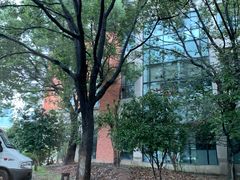 -复旦大学附属华山医院(浦东院区)