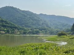 -风云岭森林公园