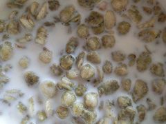 -大润发(东关世茂店)