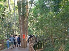 -野象谷景区