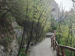 -佛慧山