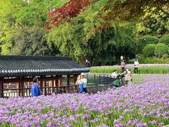 -龙头寺公园
