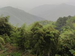 -世外桃源农庄·德清土菜(兴康南路店)