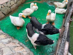 -HERRE·FARM 赫尔露营农场·团建聚会包场