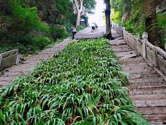 -终南山国家森林公园