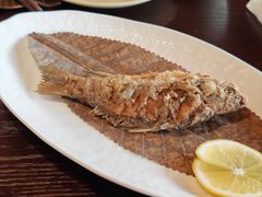 -滇野云南野生菌餐厅(陕西南路店)