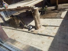-青藏高原野生动物园