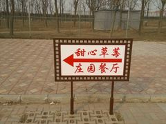 -甜心庄园·甜心草莓采摘园(西青中北店)