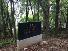 -马王堆汉墓遗址