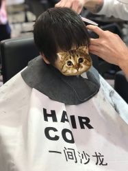 -Hair Co.一间沙龙