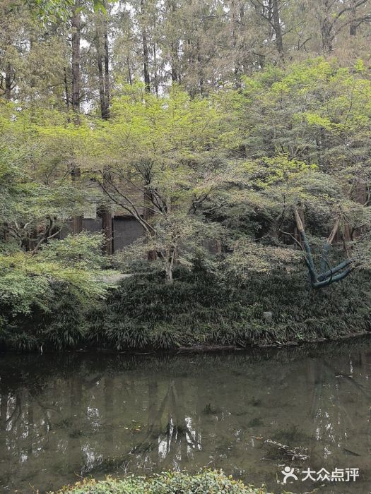 柳浪闻莺公园图片