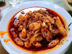 -青城甲(青城山店)