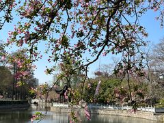 -莫愁湖公园