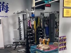 -M.S拳击泰拳馆(大学路店)