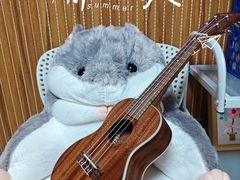 -大象音乐·吉他·架子鼓·声乐(双井店)
