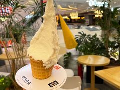 -野人先生Gelato(上海长宁龙之梦店)
