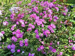 -南山风景名胜区