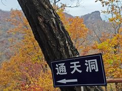 -天女山森林公园