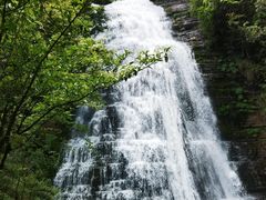 -鹿院坪生态旅游景区
