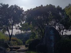 -贡湖湾湿地公园