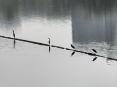 -南宁南湖公园