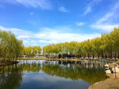 -大兴滨河森林公园