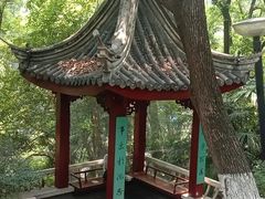 -北极阁公园