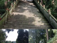 -凤栖山
