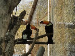 -济南野生动物世界