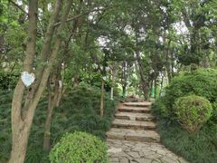 -嘉定紫藤园