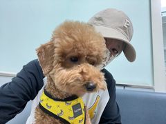 -酷宠动物医院(天通西苑店)