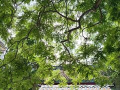 -国恩寺