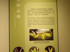 -中国茶叶博物馆(双峰馆区)