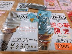 -网走流冰观光破冰船极光号