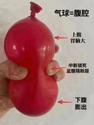 点击看大图 -昕孕瑜伽·孕妇瑜伽·产后修复