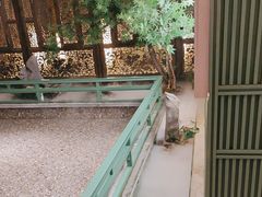 -大张烙馍村(三环南路旗舰店)