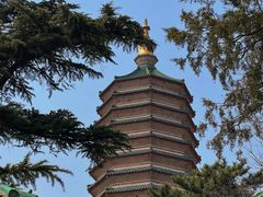-八大处公园