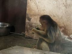 -南昌动物园