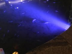 -宝丽金大酒店·洗浴中心