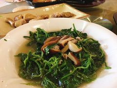 上汤桑叶-乡村酒家·湖景客家菜(观澜店)